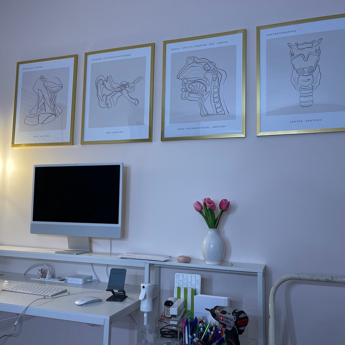 iap_1200x1200.4827928324_h00urti5